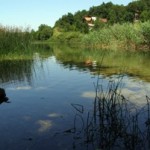 voda1-150x150 Slovenija ena izmed držav, ki ogrožajo prihodnje stanje voda