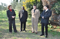 oljcni-nasad2 Eko reli znova dokazal, da je varno potovanje okolju bolj prijazno